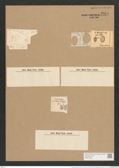 Cocconeis scutellum var. minuta Grun. (de-Toni-Nr.: Genus 40, Species 1812) Zeichnungen Sammlung Grunow Nr. 3604 (NHMW-BOT-W0371200)